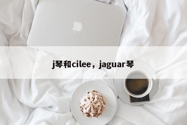 j琴和cilee，jaguar琴-第1张图片-F7W7攻略网